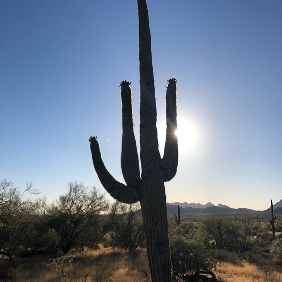 ⭐️ Posh Ambassador ⭐️top seller ⭐️fastest shipper - Picture 6 of 9